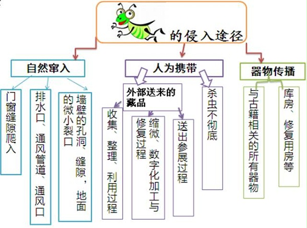 书虫入侵途径